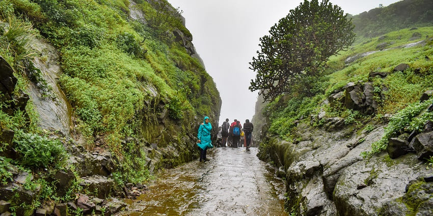 An image of trekkers on a rugged path through the dense forests of Naneghat.