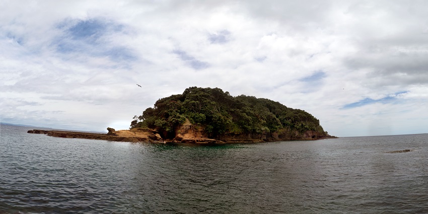 A beautiful view of the Goat Island 1 in a Hauraki Gulf