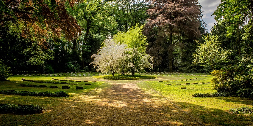 A view of the lush gardens surrounding, ideal for relaxation.
