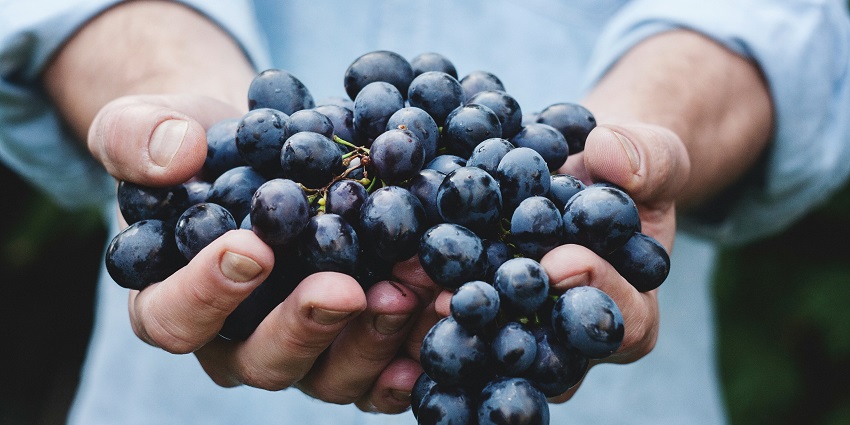Renowned wine region offering exquisite tastings and vineyard tours