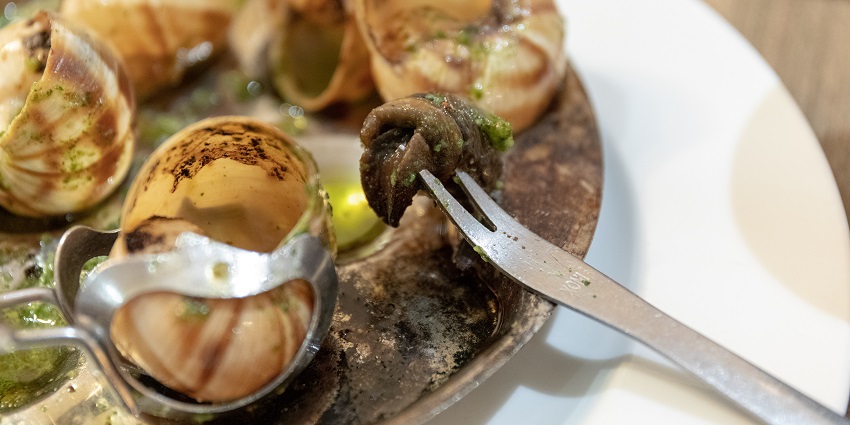The best food in Paris is the tasty escargot served with garlic, and herbs in Burgundy style.