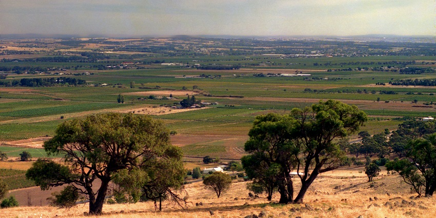 Wine tasting in Barossa Valley, one of the top things to do in Australia.