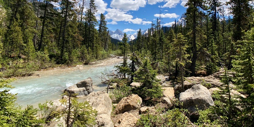 A river flows near Johnston Canyon in Banff National Park, Banff, Alberta, Canada.