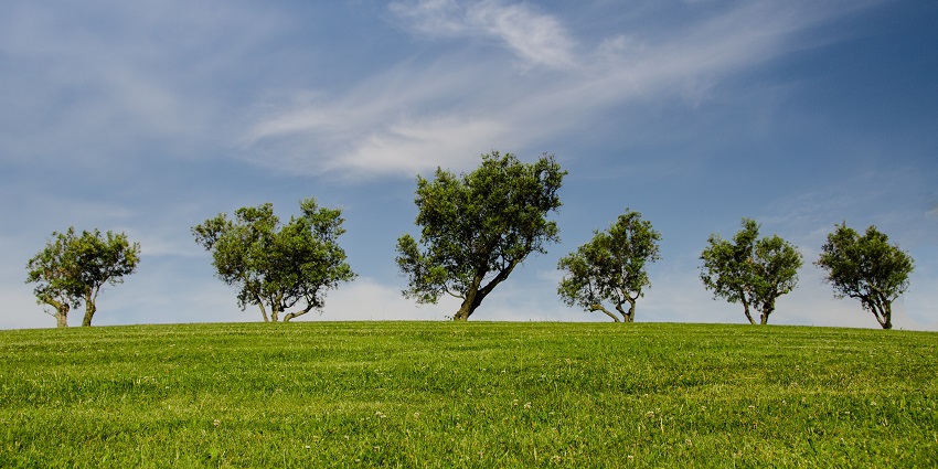 Discover lush greenery and historical significance at Nana Rao Park in Kanpur, Uttar Pradesh.