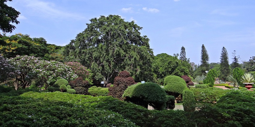 Explore Phool Bagh, a peaceful garden with colonial charm - one of best things to do in Kanpur.