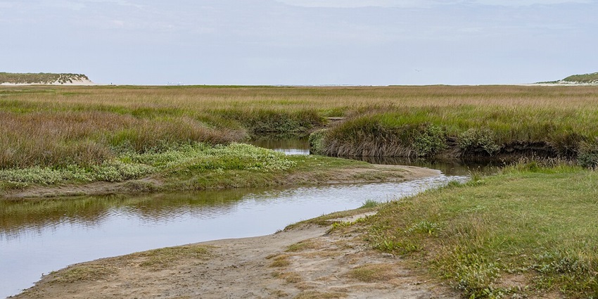 Scenic view of the Texel Island, biking around this island is one of the exciting things to do in the Netherlands in November.