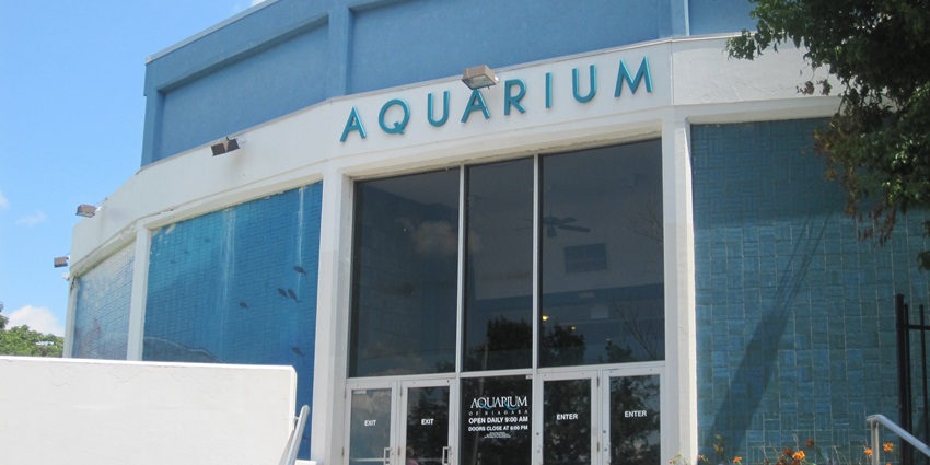 A picture of the entrance of the Aquarium of Niagara which is one of the best places to visit in March