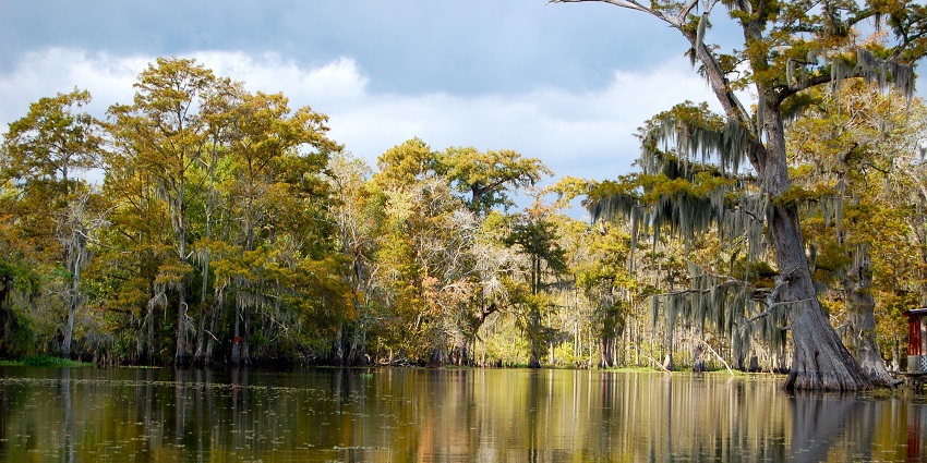 Image of the dream-like Bayou Corne is a wetland in the state of Louisiana in the USA.