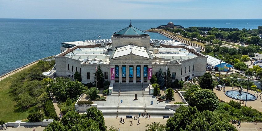 The Majestic Shedd Aquarium in Chicago is a large and world-class public aquarium