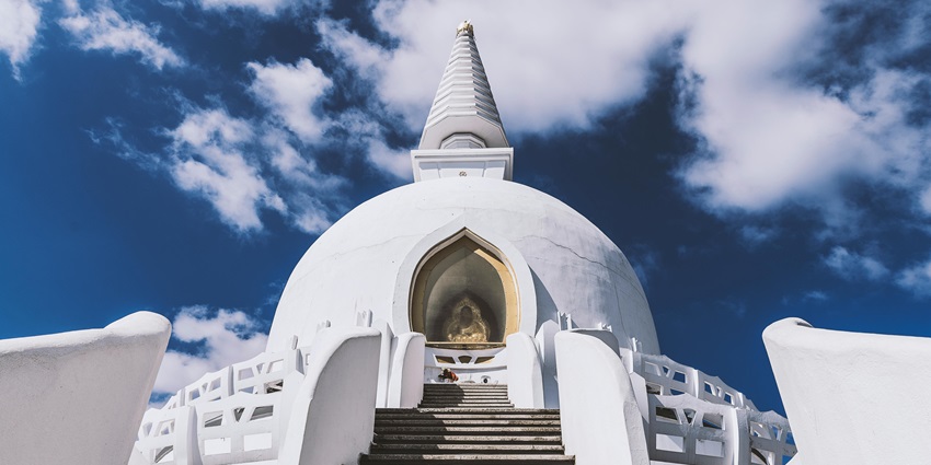 A representative image of the stunning Buddha stupa present in the Salugara Monastery.