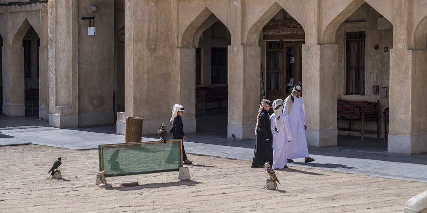 Falcon Souq is a market dedicated to falcons, bird care, and related accessories.