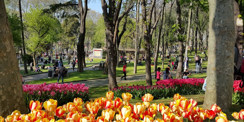 Lush green park offering tranquil views of the Bosphorus at the fethi pasha grove