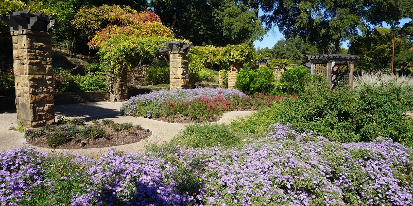 An image showing the Botanic Garden, a great place to visit near Kimbell Museum