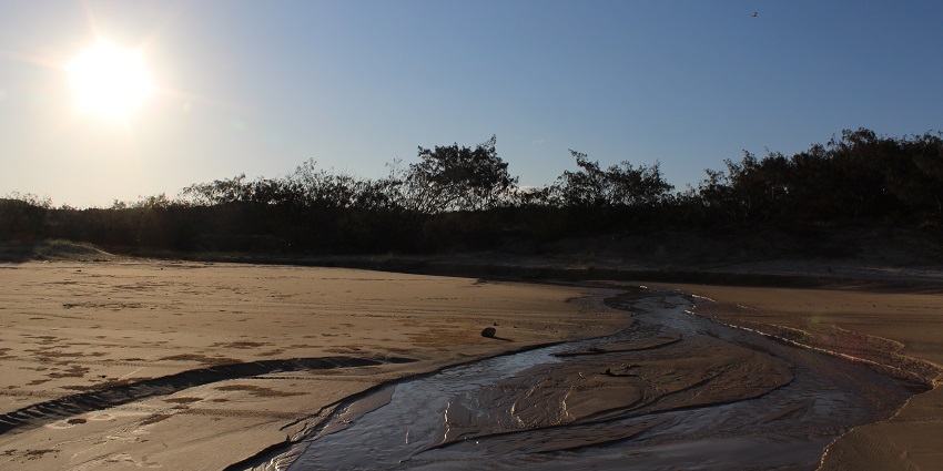 Fraser Island’s unique landscapes make it a must-see among islands in Australia.