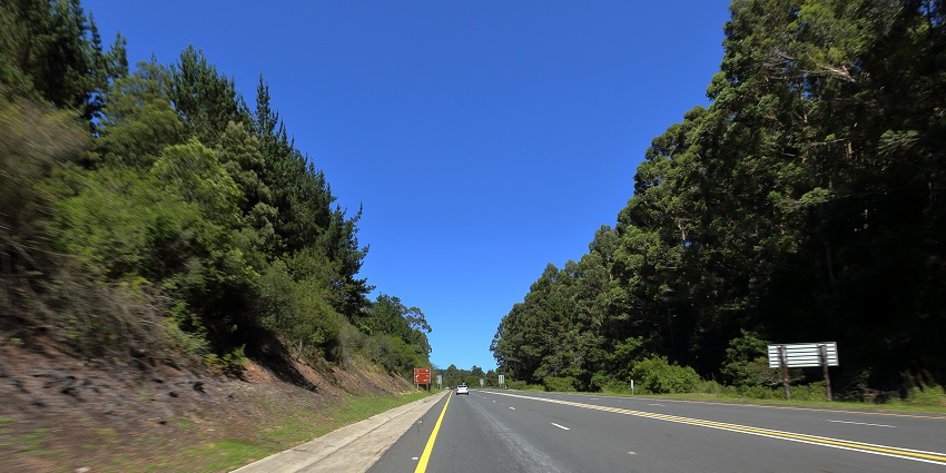 One of the best places to visit in South Africa in December is the scenic Garden route.