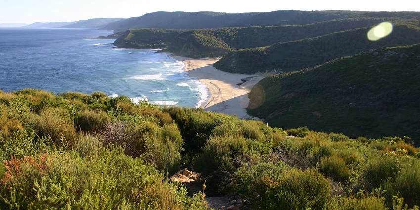 Waves at Garie Beach, a part of the Royal National Park.