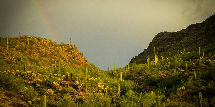 An Image of Gates Pass Mountain, famous destination near Saguaro National Park