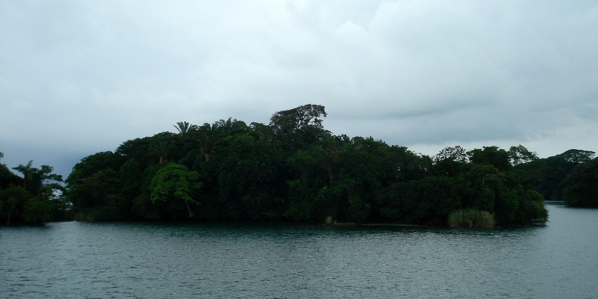 An image of an Island in Gatun Lake, a famous place, surrounded by rich greenery.