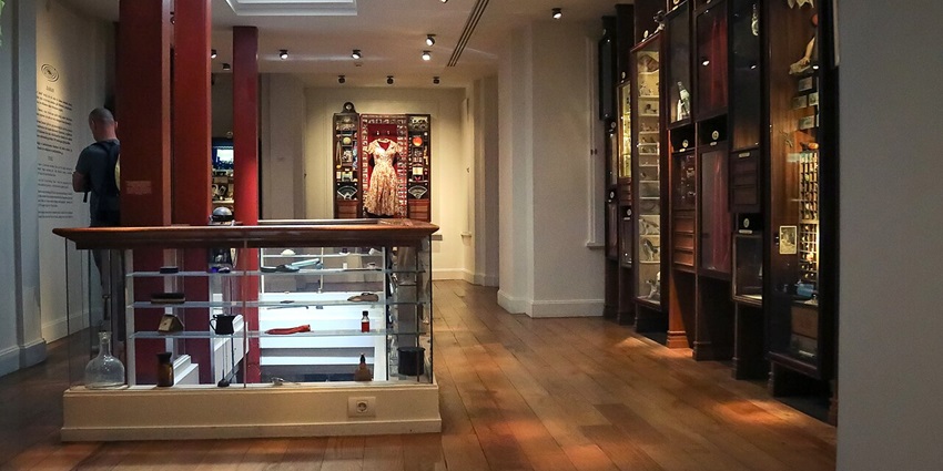 Things to do in Istanbul include visiting the museum showcasing artifacts inspired by Orhan Pamuk’s novel.