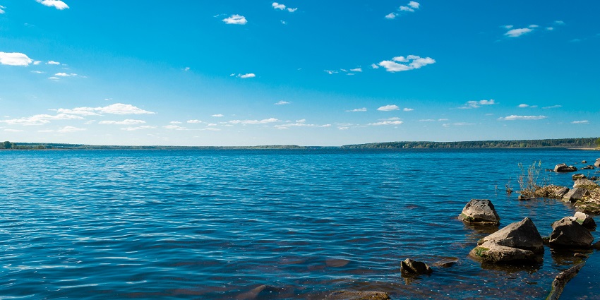 An image of visitors relaxing by Gorewada Lake, enjoying the serene views and natural beauty.