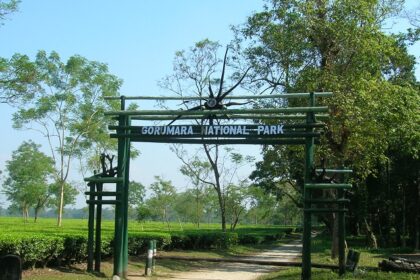 An entrance to Gorumara National Park which is located in Dooars, West Bengal.