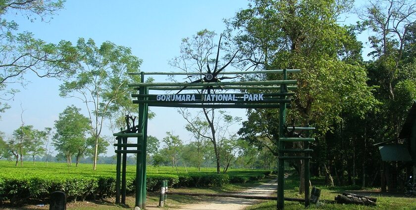 An entrance to Gorumara National Park which is located in Dooars, West Bengal.