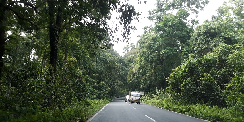 Explore Gorumara National Park, a National Park in West Bengal.