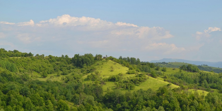 A picture of beautiful Grass Hills, ideal for trekking among places to visit in Valparai.