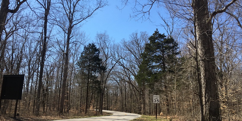Green River Ferry Road in Mammoth Cave National Park, surrounded by greenery and trees.