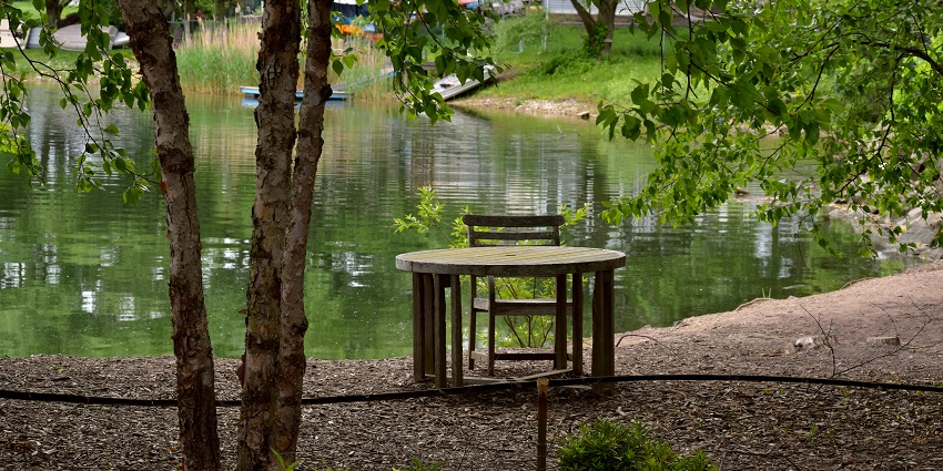 An image of Grounds For Sculpture, one of the places to visit in New Jersey In April.