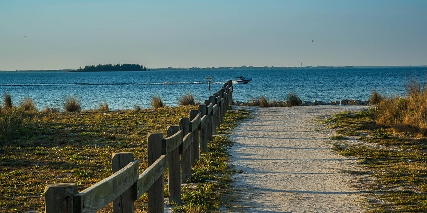 A picture of a secluded beach in Florida with trees and greenery around the shore
