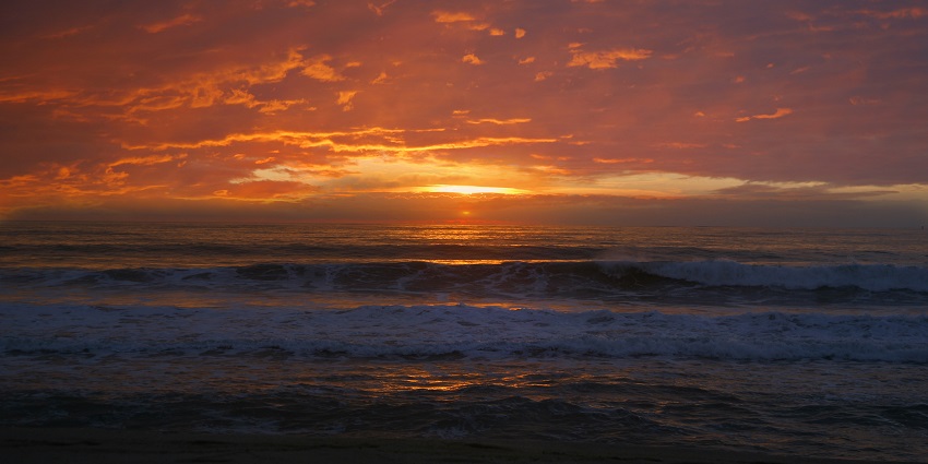 Explore Half Moon Bay’s Beach in Melbourne, a sandy stretch along the cliffs.