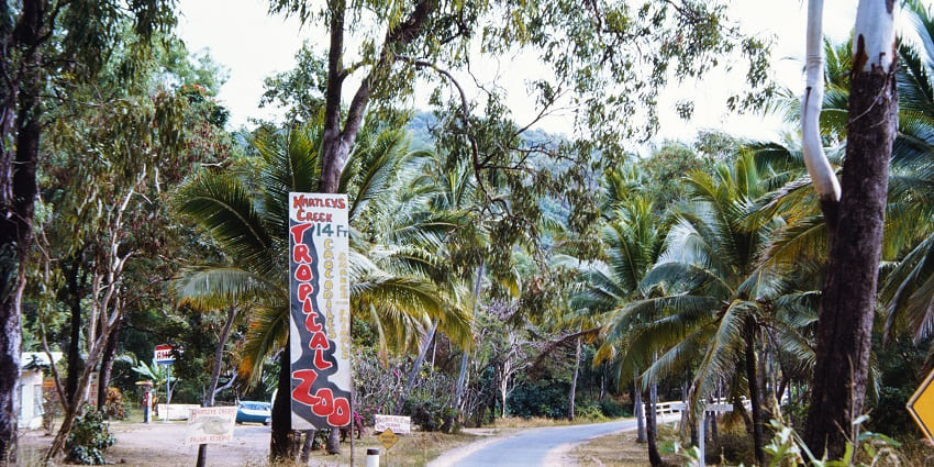 Witness shows at Hartley’s Crocodile Adventures, a famous thing to do in Cairns