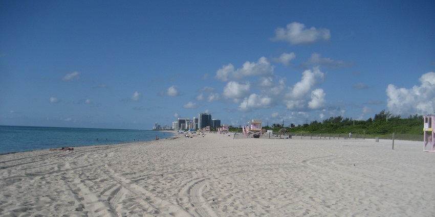 A pristine stretch of sand and sparkling blue water under clear skies at Haulover Beach