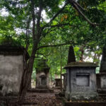 A picture South Park Street Cemetery surrounded by lush green forest