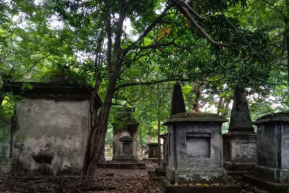 A picture South Park Street Cemetery surrounded by lush green forest