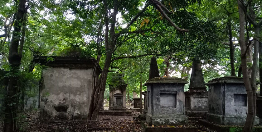 A picture South Park Street Cemetery surrounded by lush green forest