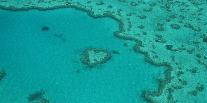 An aerial view of the love island called Heart Reef near the Whitehaven island