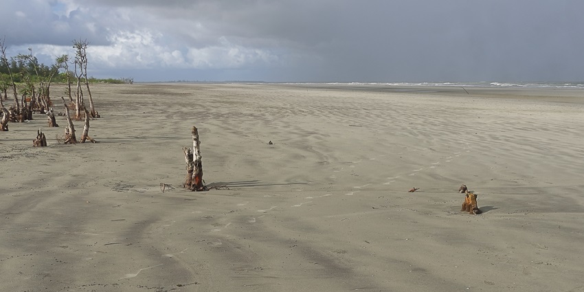 Beautiful white sand beach of Henry Island near Bakkhali, close to the Sundarbans in West Bengal in India.