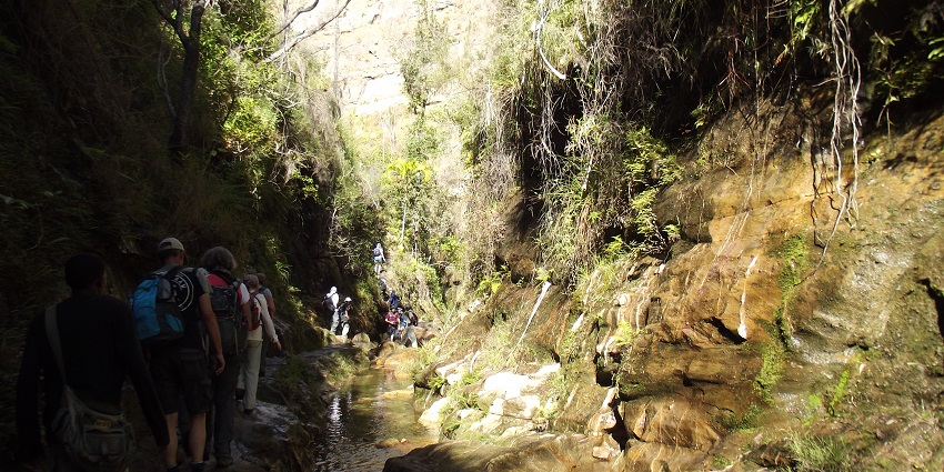 Nature trails at this captivating landscape is one of the things to do in Madagascar