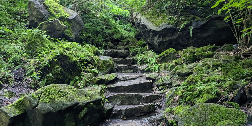 Stone staircase in the Niagara Glen - one of the things to do in Niagara Falls in March.