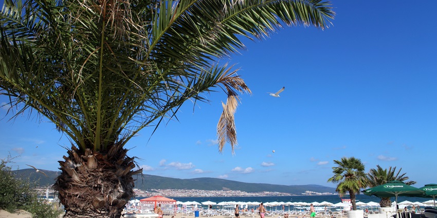 Family-friendly beach with soft sand, clear waters, and amenities