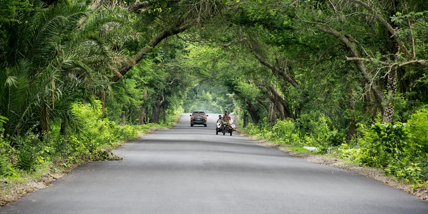 A picture of the Purulia Science surrounded by greenery, providing a peaceful experience.