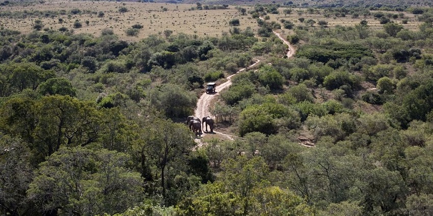 An aerial picture of the vast grasslands in Addo Elephant National Park