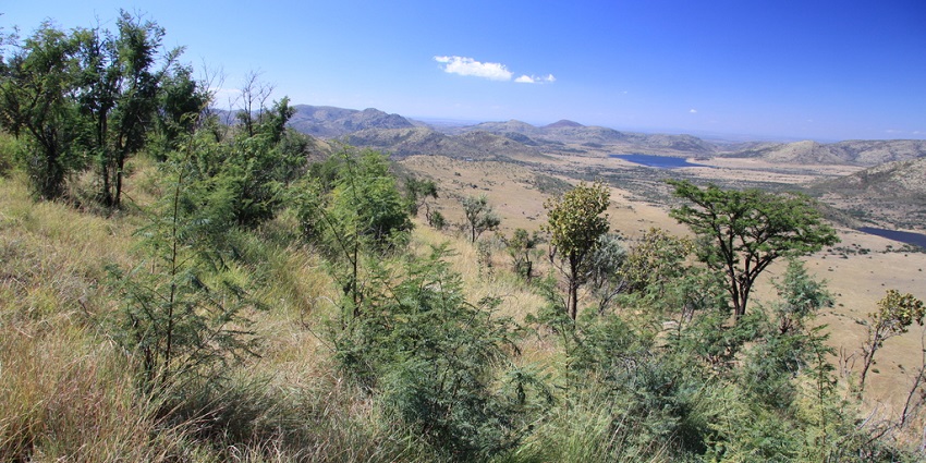 Image of Coarse Safari roads at Pilanesberg National Park