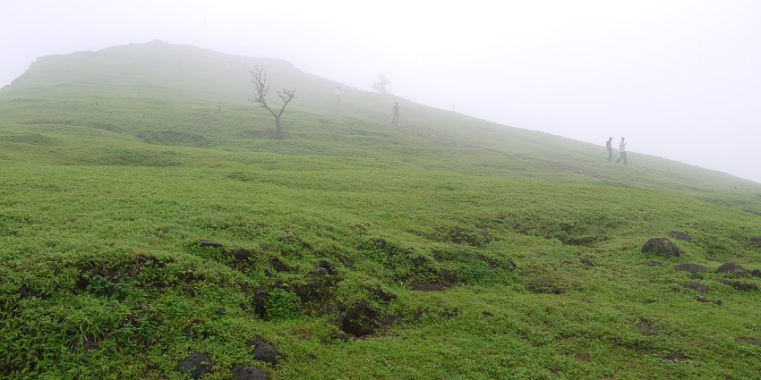 A picture of the lush mountains at the Naneghat valley covered under a sheet of fog