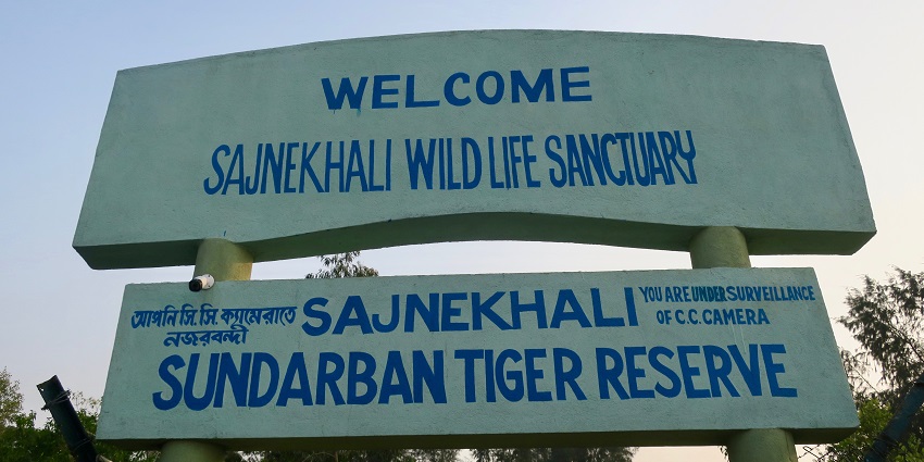 Picture of Sajnekhali Tiger Reserve in the Sundarbans, showcasing dense mangrove forest.
