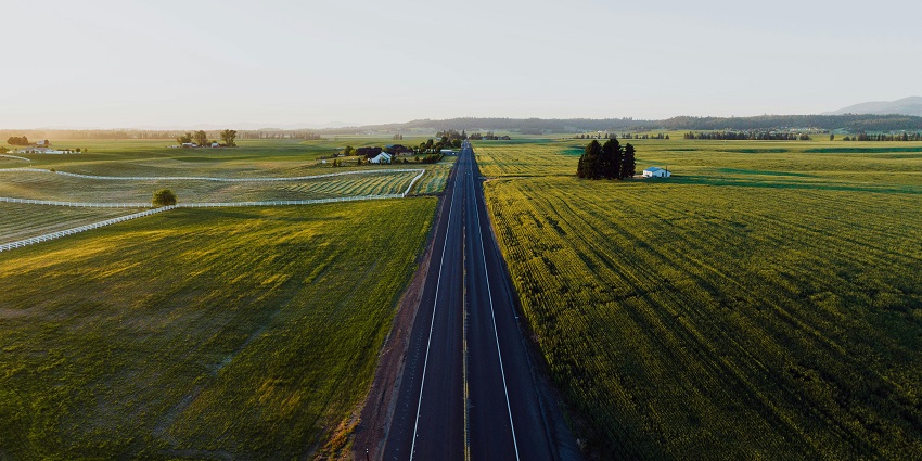 Image of a view of a road leading to the Marble Palace Zoo, surrounded by green fields