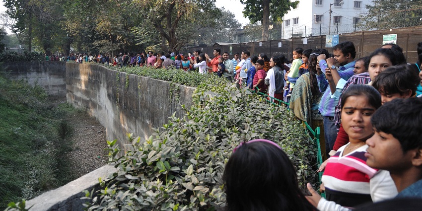 A view of a crowd of people staring at the most scenic wildlife in Alipore Zoo.