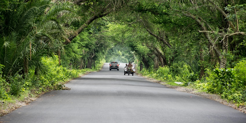 A picture of a road to the Kankalitala Temple is flanked on either side by greenery.